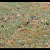 20141130_057
